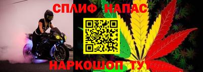 гидра Обь