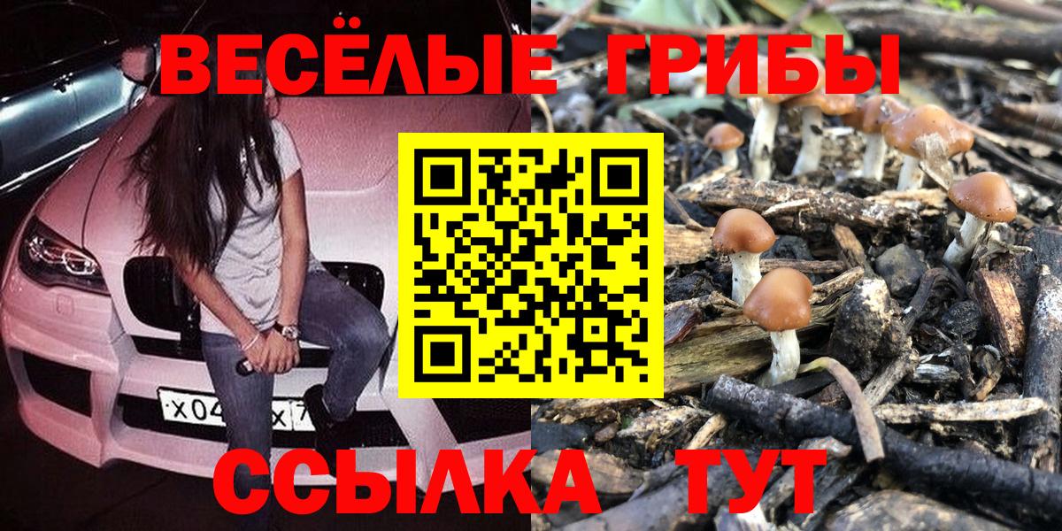 Галлюциногенные грибы Magic Shrooms Рубцовск